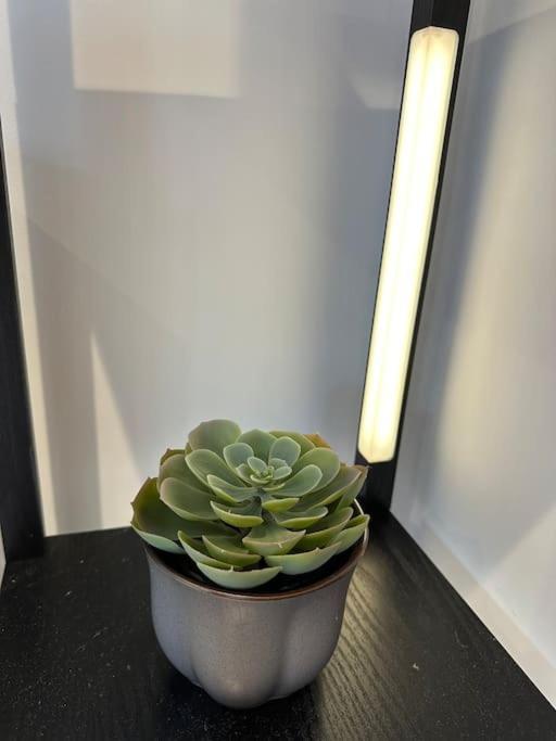 Whitsun Studio - Brand New Listing! Bristol Eksteriør bilde